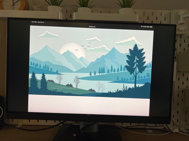 Dell UltraSharp 27" 4K PremierColor Monitor (UP2720Q) - photo 4