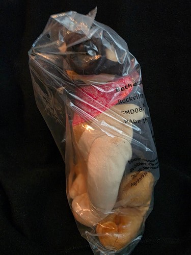 Fallout 4 Dogmeat Plush – Loot Crate Exclusive (NEW Sealed) - photo 3