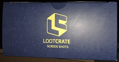 Fallout Paladin Danse Loot Crate Figure Screenshots Series NEW - photo 4