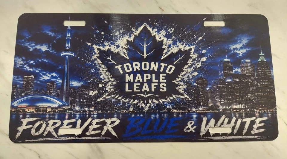 Aluminum Novelty License Plate Signs - photo 4
