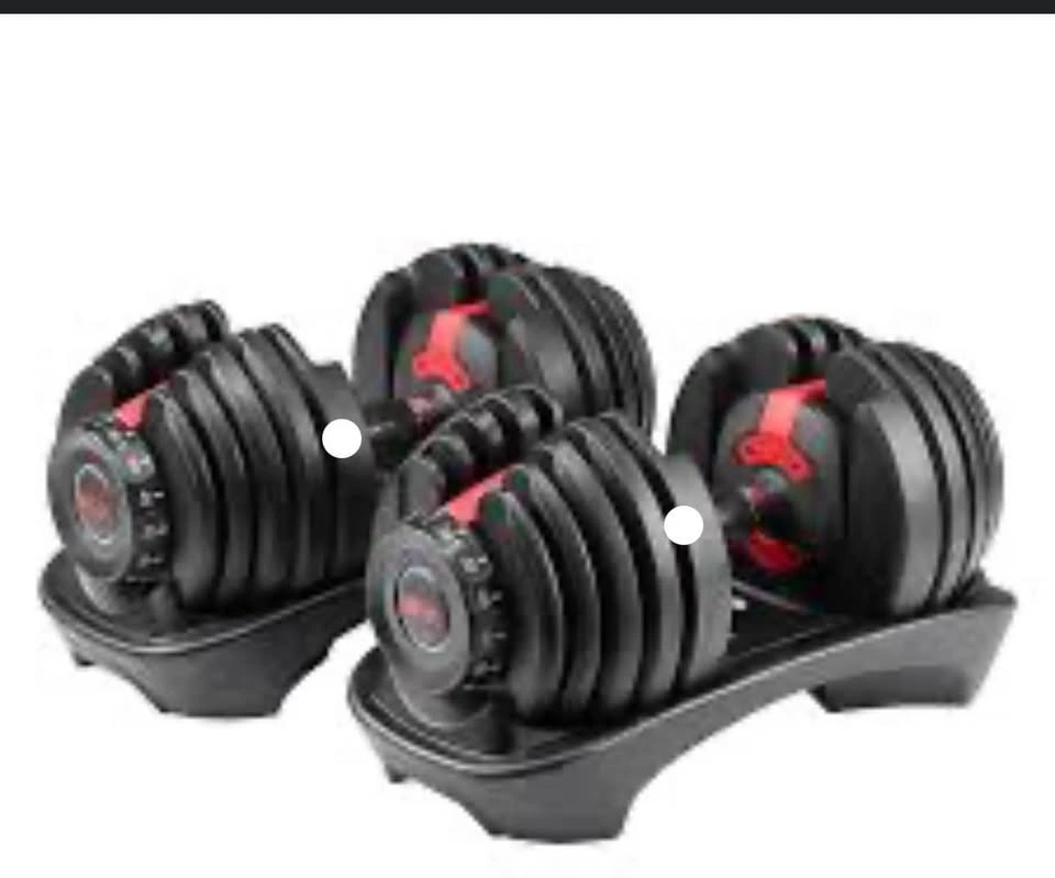 Bowflex Adjustable Dumbbell 552