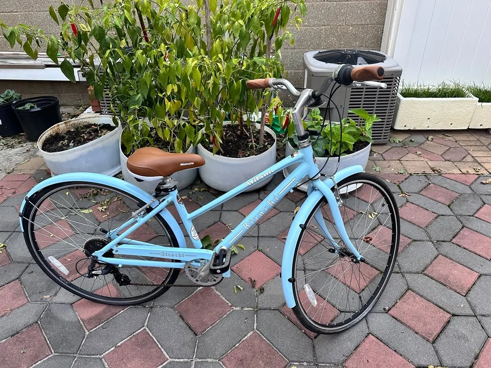 Bianchi Women’s Bicycle color Mint/Celeste - photo 2