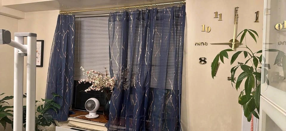 Blue and gold starred sheer curtains, 4 panels