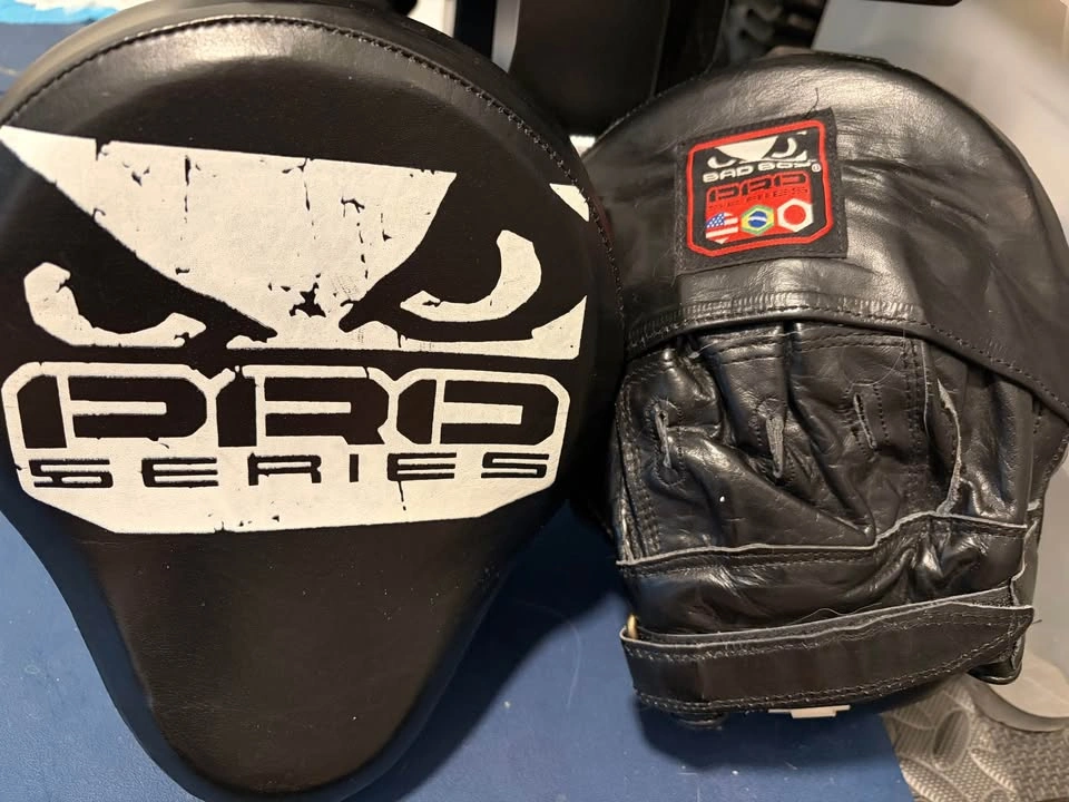Bad Boy Pro Series Focus Mitts