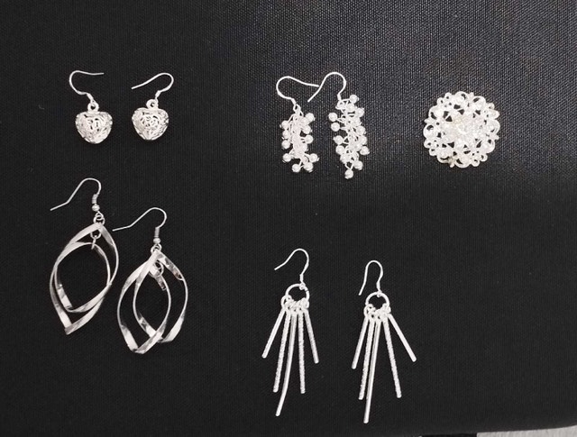 New silver earrings broach