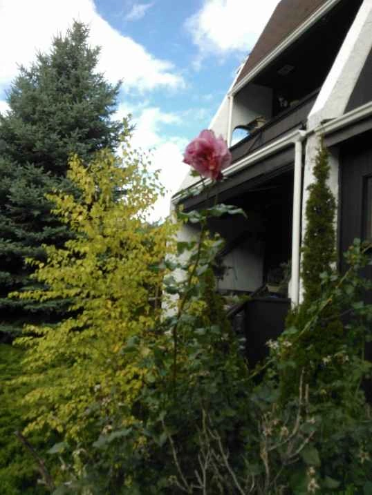 Blue Mountain ski chalet for sale - photo 5
