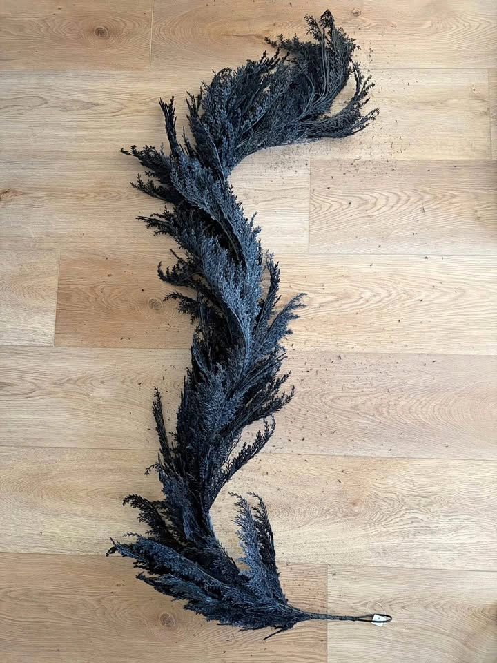 Crate&Barrel ‘Spooky Black Garland’