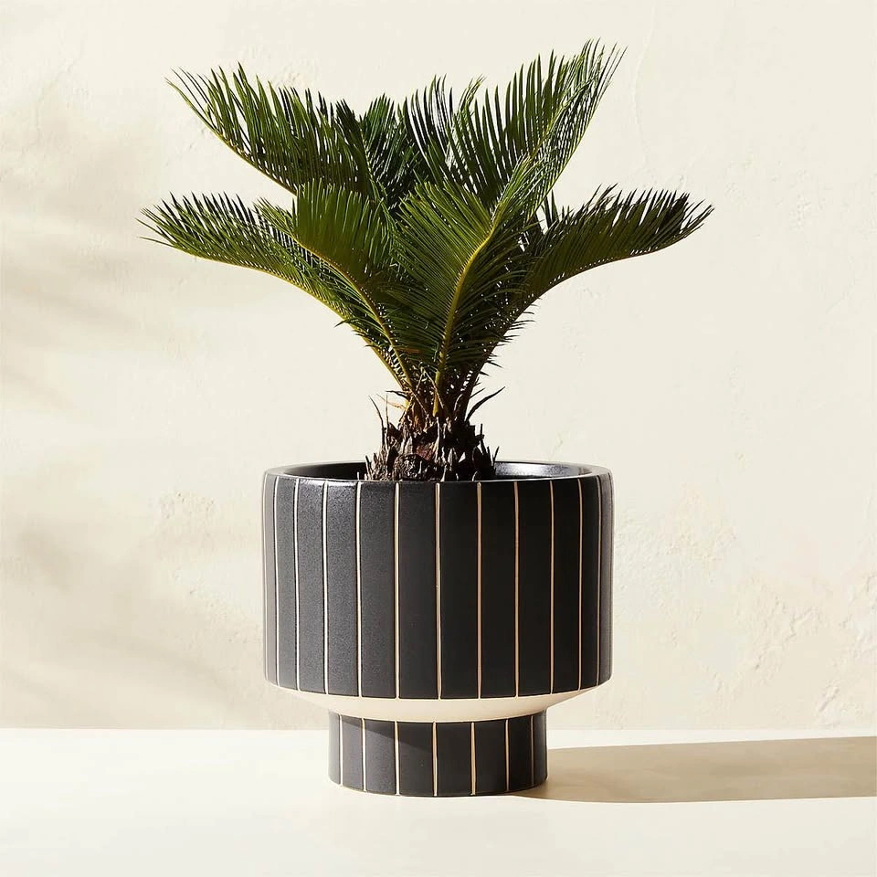 CB2 Komo Matte Black Striped Ceramic Planter - photo 2