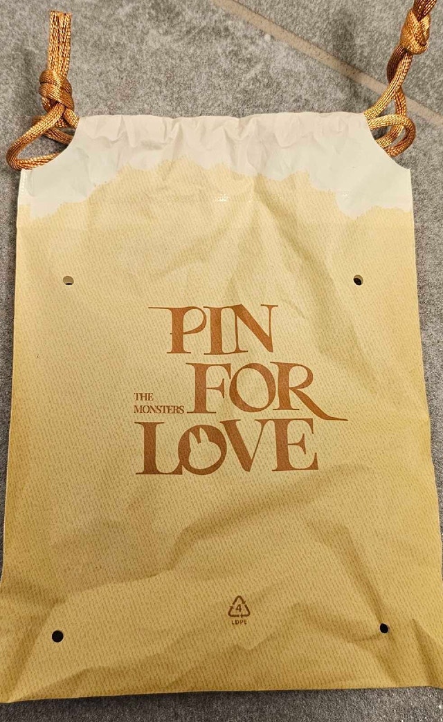 POP MART The Monsters Pin for Love Vinyl Plush Pendant - photo 2