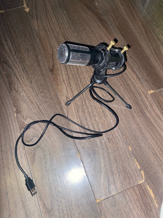 SF-666 Condenser Microphone
