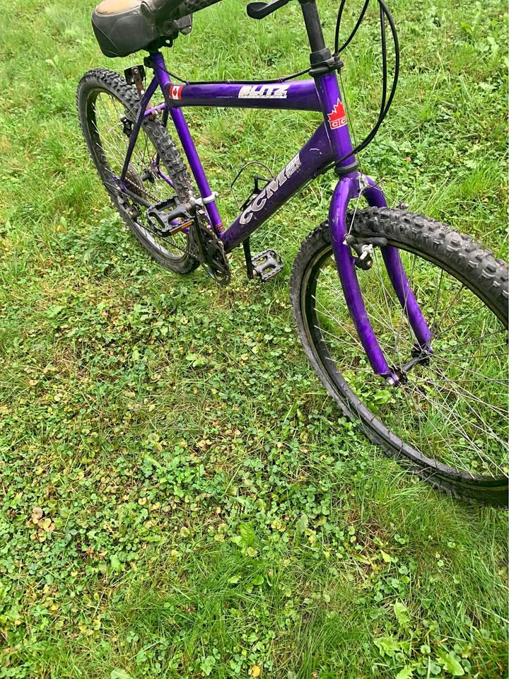 Ccm adult bike