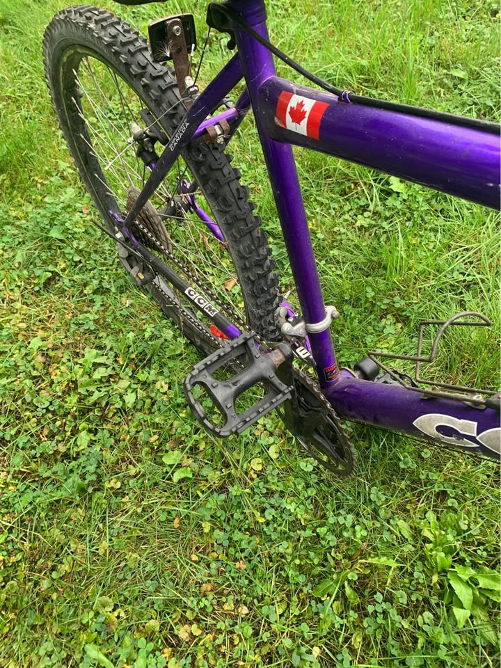 Ccm adult bike - photo 3