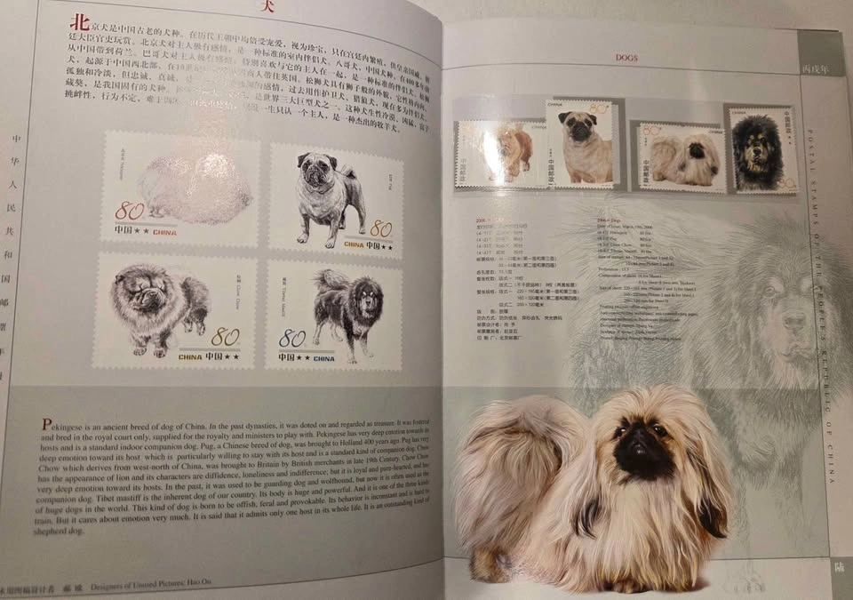Chinese Stamps Annual Album 2006 - photo 3