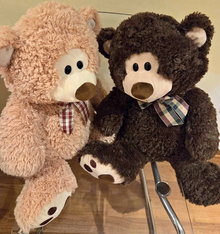 Pair of Plush Teddy Bears