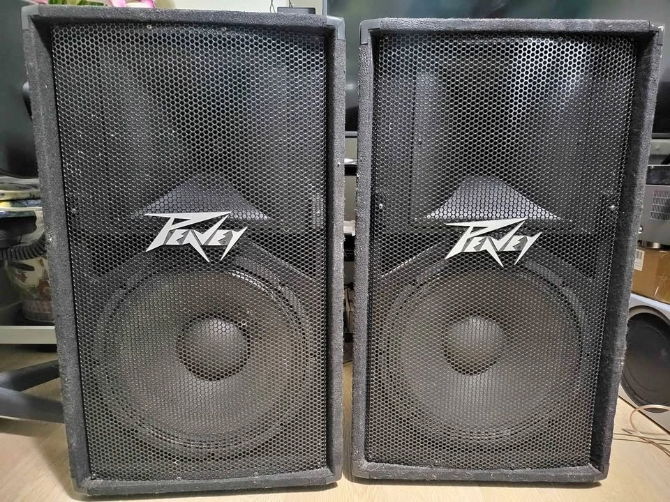 Peavey PV115 2-Way Speakers 🔊