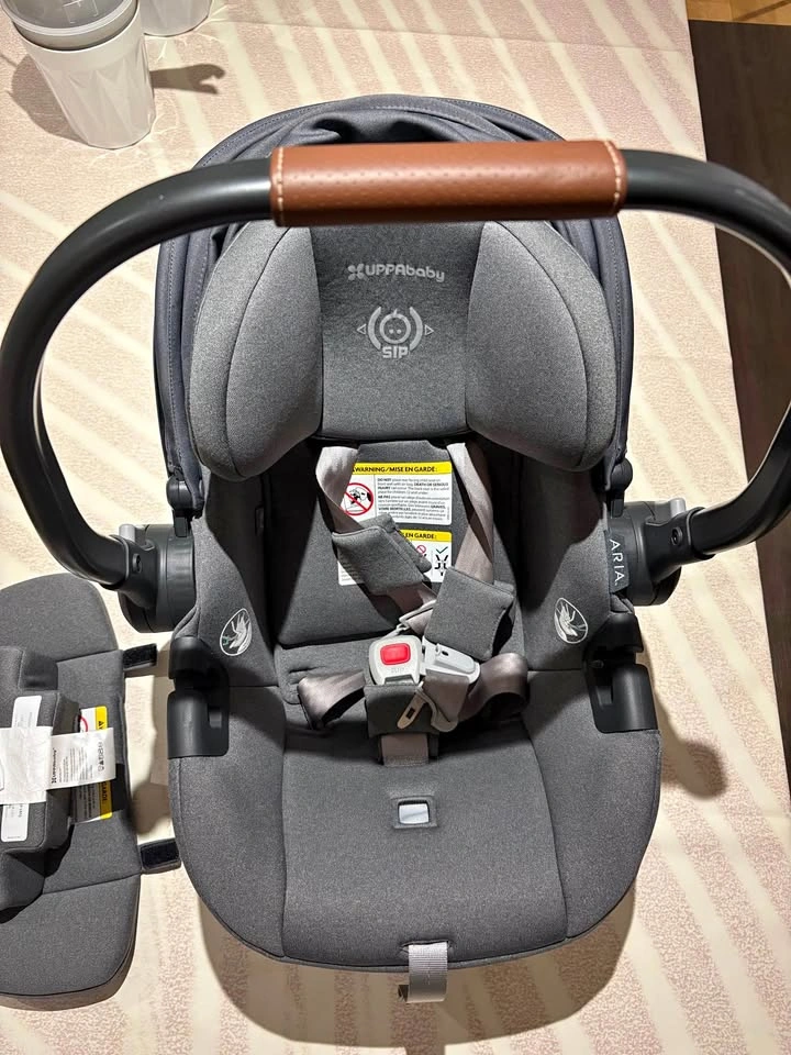 UPPAbaby Aria Infant Car Seat