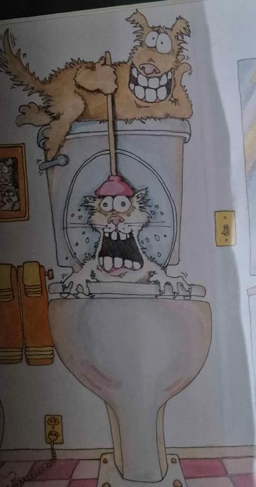 Steve Gill Framed Cartoon Print (Skokie) - photo 3