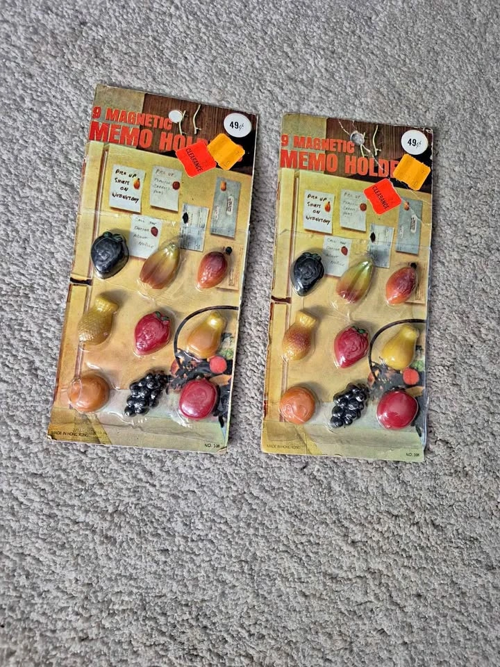 Vintage Fruit Magnetic Memo Holders - Set of 2