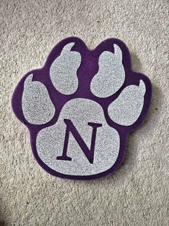 Northwestern University Wildcats Foam Paw Hand (Skokie)