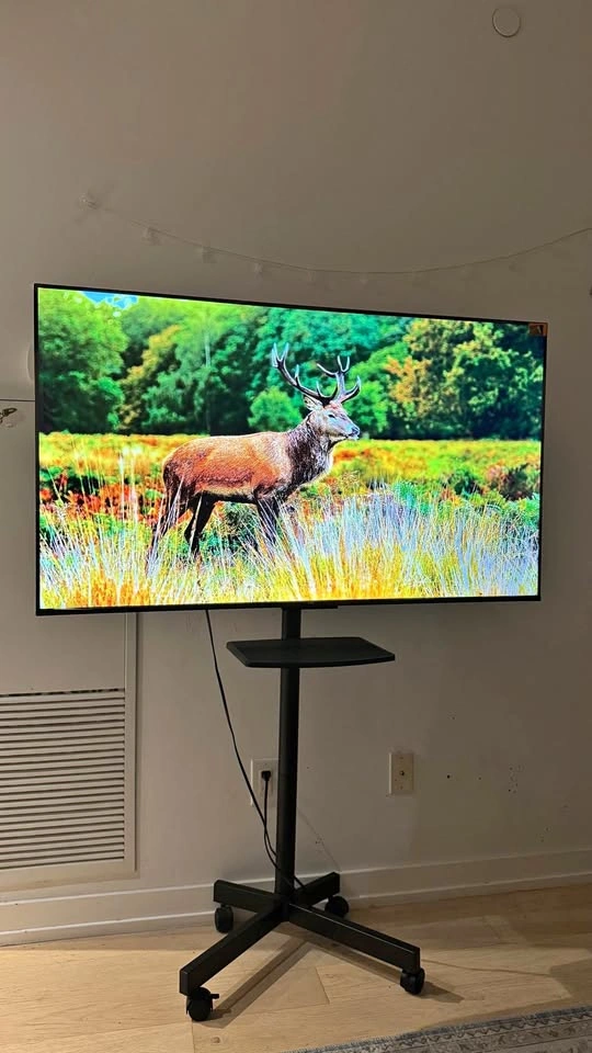 TCL 55” 4K Google Smart TV + Rolling Stand