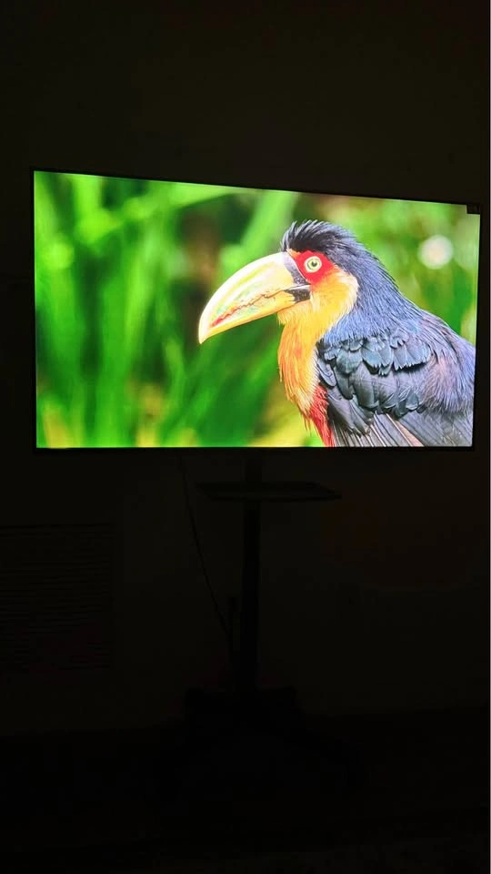 TCL 55” 4K Google Smart TV + Rolling Stand - photo 3