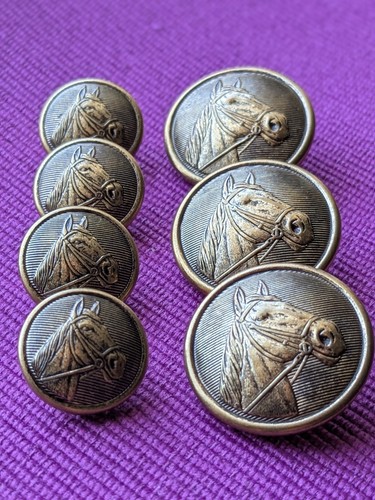 Vintage Waterbury Brass Horse Head Blazer Buttons 7pc Set