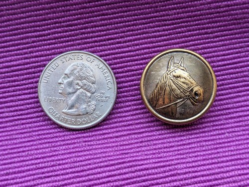 Vintage Waterbury Brass Horse Head Blazer Buttons 7pc Set - photo 4