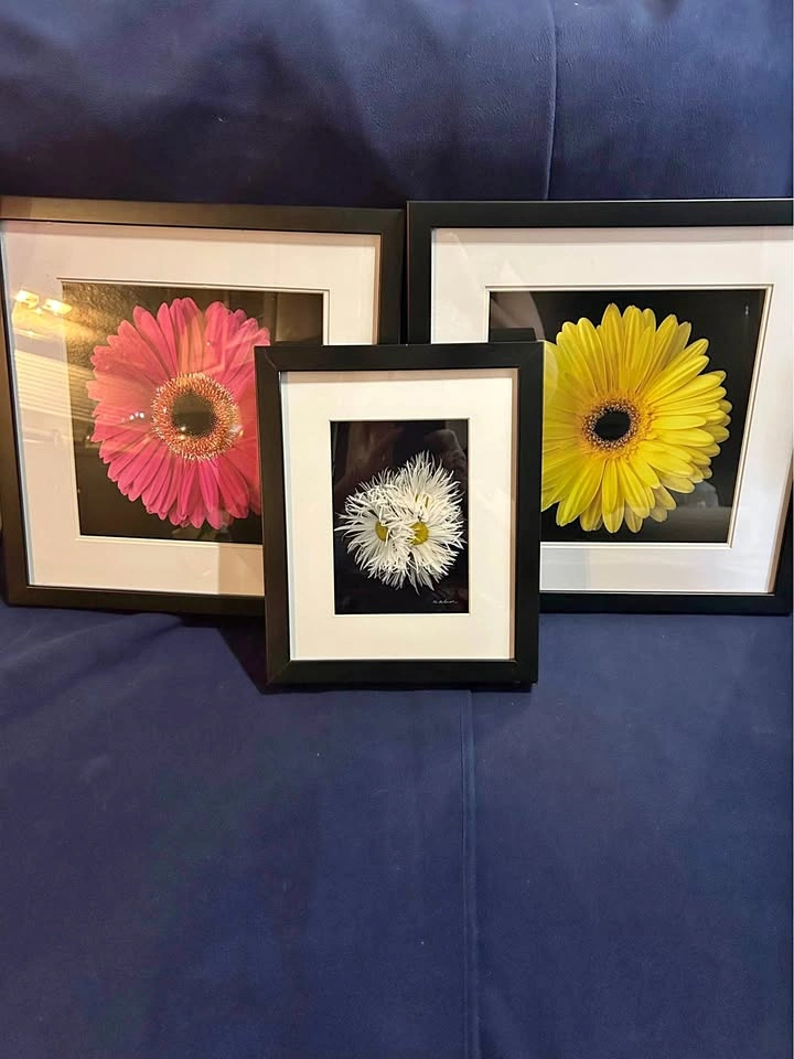 Framed Flower Prints - Set of 3
