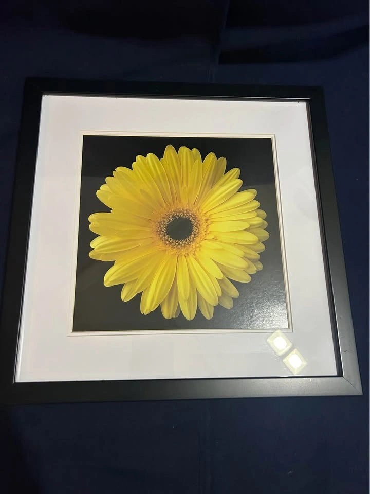 Framed Flower Prints - Set of 3 - photo 2