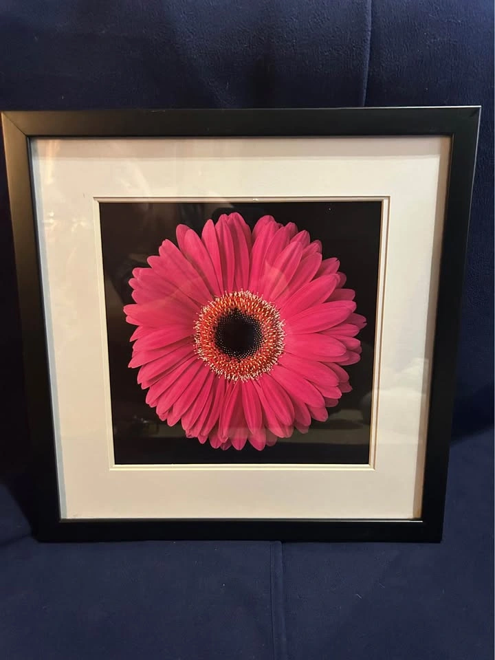 Framed Flower Prints - Set of 3 - photo 4
