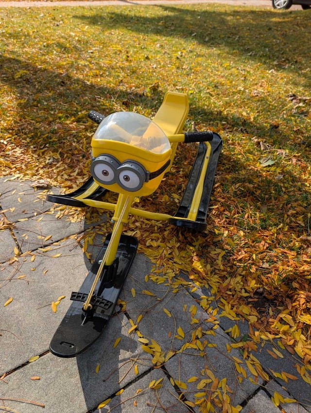 Minions Snow Racer