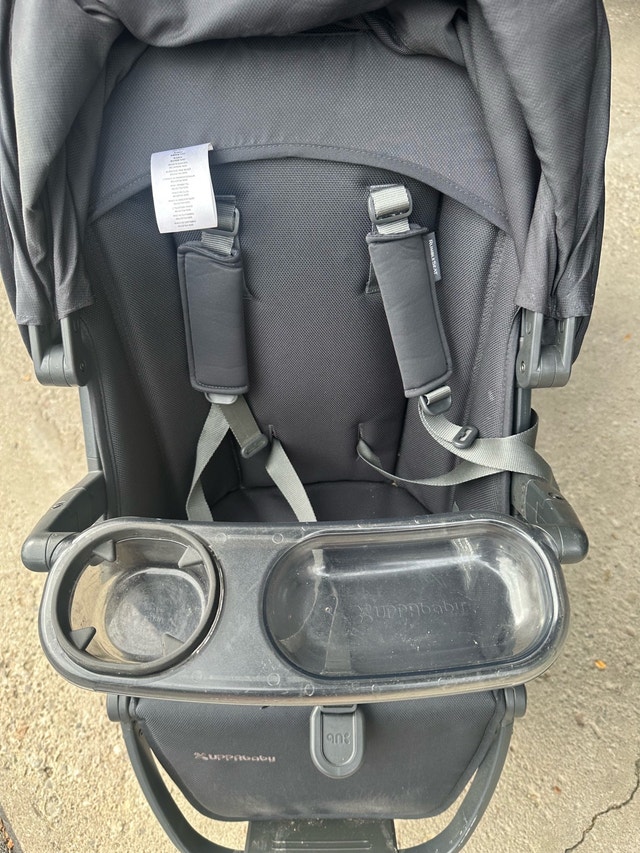 UPPAbaby Vista Stroller with RumbleSeat and BuggyBoard - photo 3