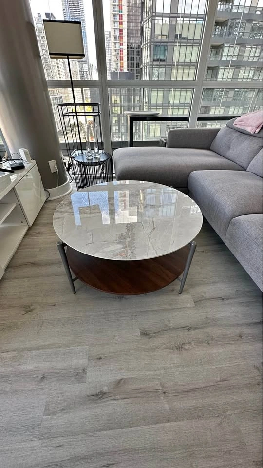 Living Room/ Coffee Table
