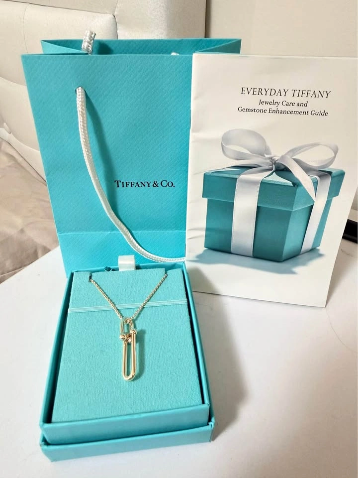 Tiffany & Co. HardWear Elongated Link Pendant Necklace
