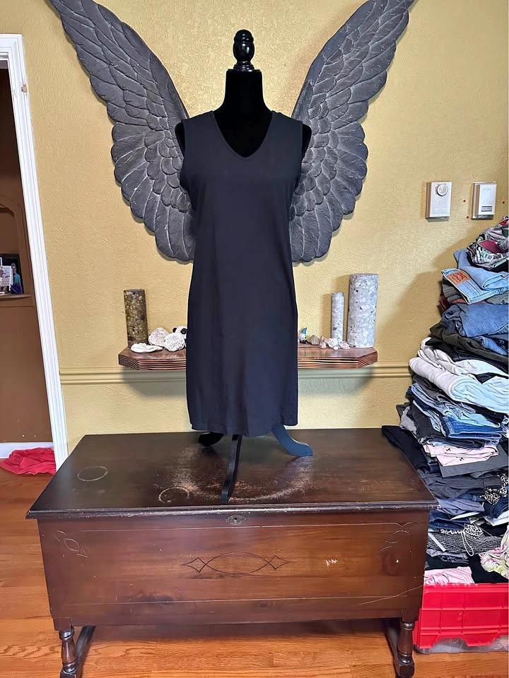 Dolcezza Black Sleeveless Dress