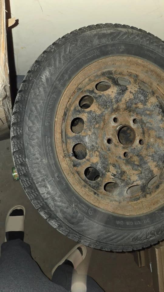 Set of 4 Winter Tires 205/60R16 on Steel Rims - photo 4