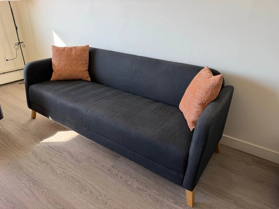 IKEA LINANÄS 3-Seater Sofa – Dark Grey – $100 - photo 2