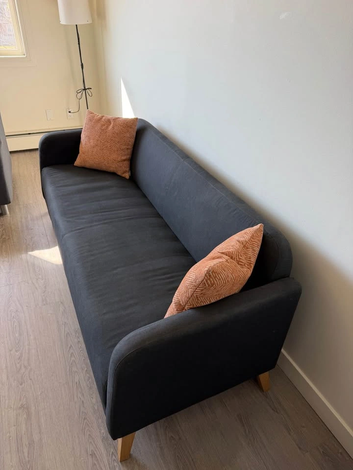 IKEA LINANÄS 3-Seater Sofa – Dark Grey – $100 - photo 3