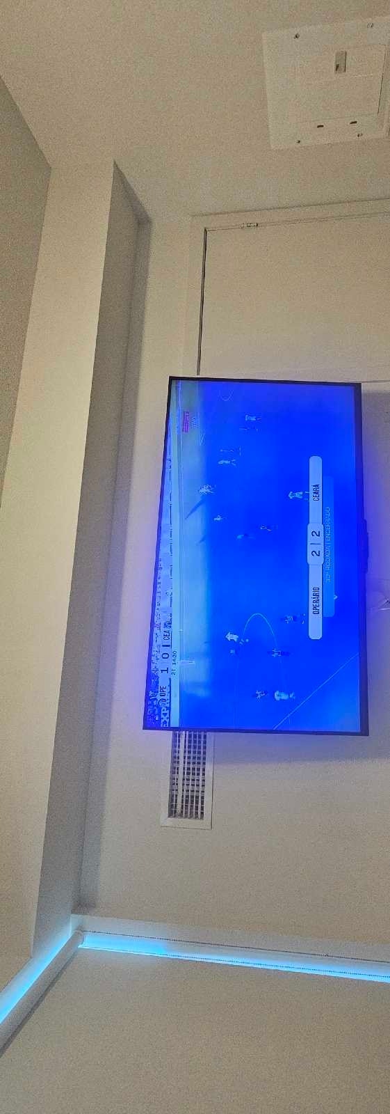60" Sony TV