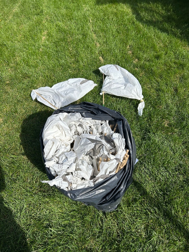 Goose Decoys - photo 2