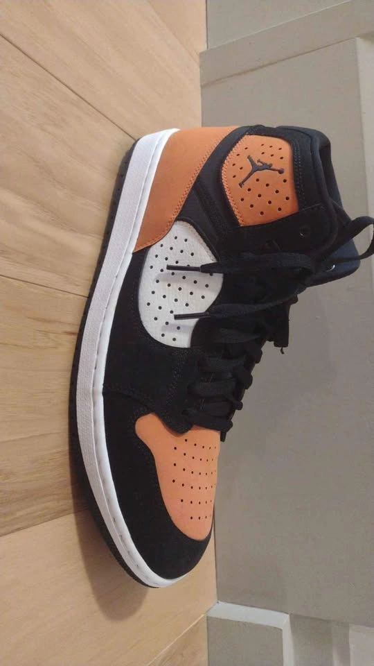 Jordan Access Shattered Backboard - photo 2