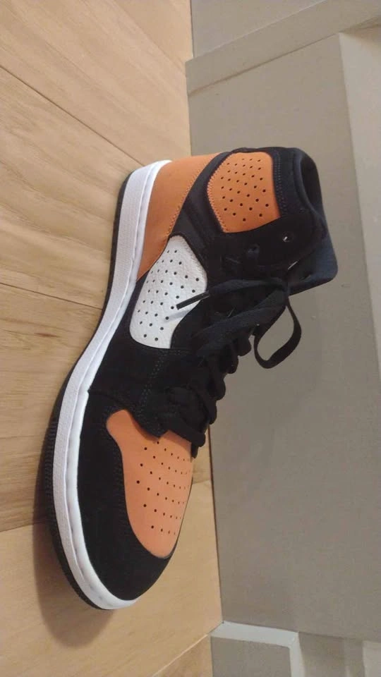 Jordan Access Shattered Backboard - photo 3