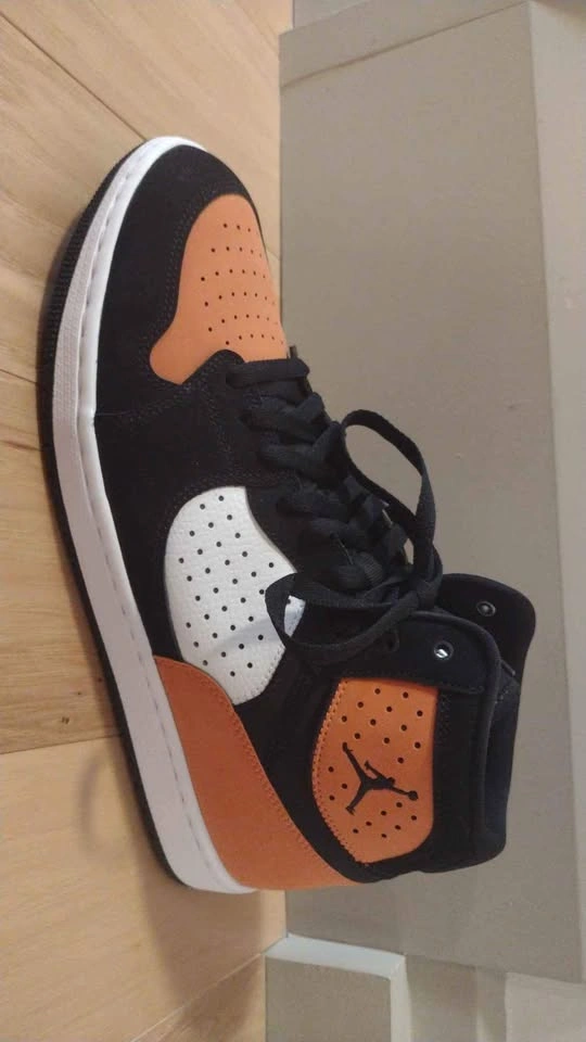 Jordan Access Shattered Backboard - photo 4