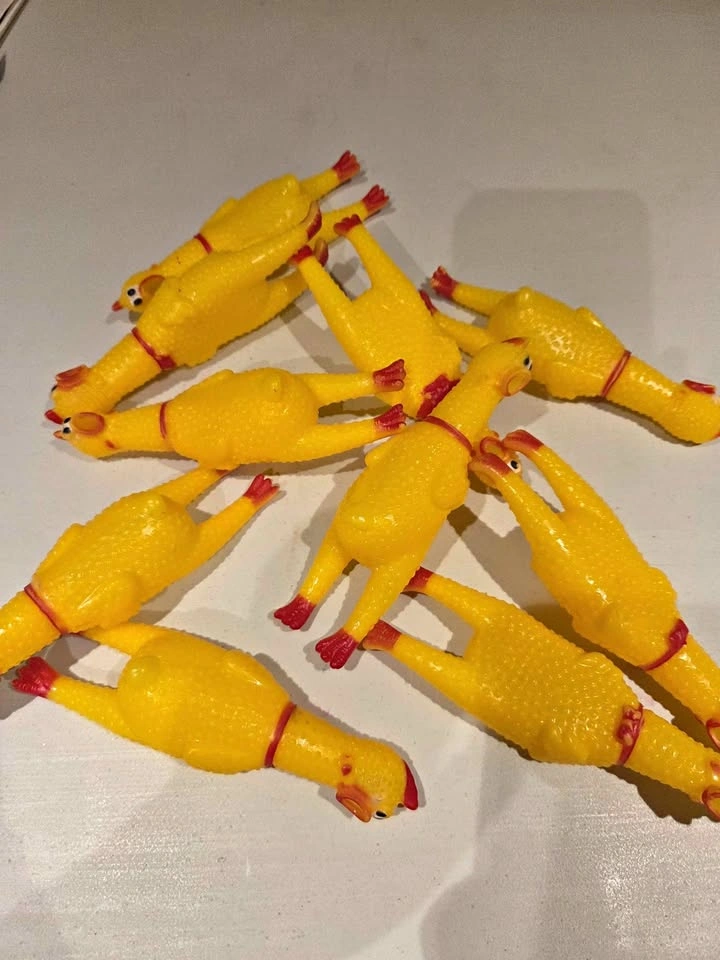 10 squawking rubber Chickens