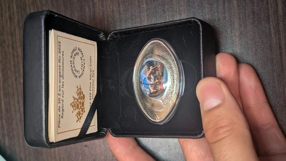 2025 Collectors 20 Fine Silver Dinosaur Eye Royal Canadian Mint - photo 4