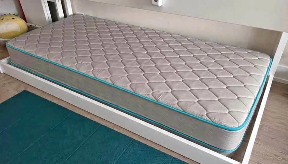 Twin size mattress (I have 2 of them)