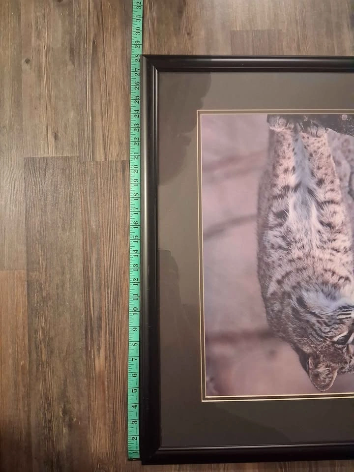 Framed Wallart - photo 3