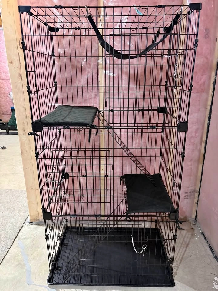 Cats cage enclosure with hammock