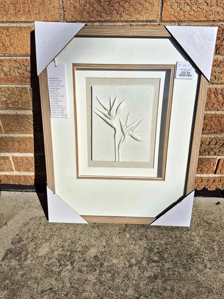 Botanical Bird of Paradise Shadow Box Wall Art (Skokie)