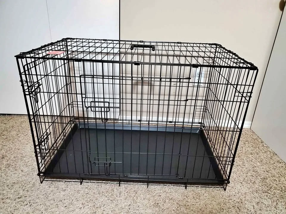 Dog Crate 🧡 thumbnail